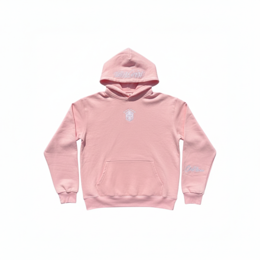Hoodie Pink Brasil